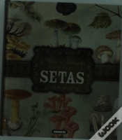 Capa do artigo Setas