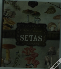 Capa do artigo Setas