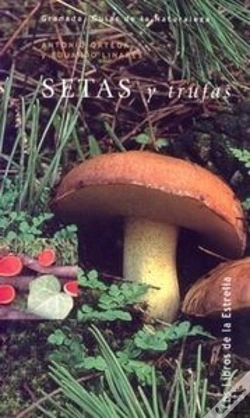 Capa do artigo Setas Y Trufas Le