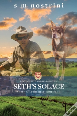 Capa do artigo Seth'S Solace