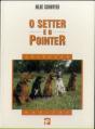 Setter e o Pointer - Preview