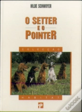 Setter e o Pointer