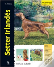 Capa do artigo Setter Irlandés