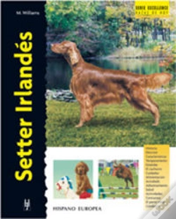 Capa do artigo Setter Irlandés