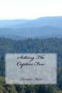 Setting The Captive Free - Preview