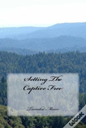 Capa do artigo Setting The Captive Free