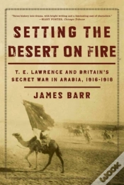 Capa do artigo Setting The Desert On Fire