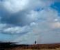 Setting The Fell On Fire - Allenheads Contemporary Arts - Preview