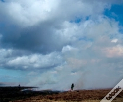 Capa do artigo Setting The Fell On Fire - Allenheads Contemporary Arts