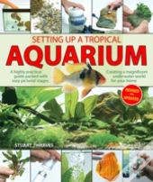 Setting Up A Tropical Aquarium