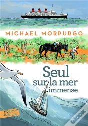 Capa do artigo Seul Sur La Mer Immense