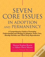 Capa do artigo Seven Core Issues In Adoption And Permanency