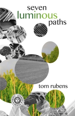 Capa do artigo Seven Luminous Paths