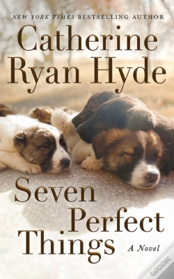 Capa do artigo Seven Perfect Things
