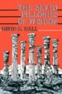 Seven Pillories Of Wisdom - Preview