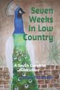 Seven Weeks In Low Country - Preview