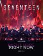 Seventeen - Preview