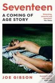 Capa do artigo Seventeen