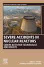 Severe Accidents In Nuclear Reactors - Preview