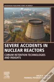 Capa do artigo Severe Accidents In Nuclear Reactors