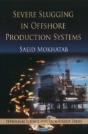 Severe Slugging In Offshore Production Systems - Preview