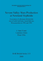 Severn Valley Ware Production At Newland Hopfields - Preview