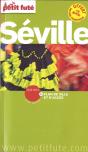 Seville 2013 Petit Fute + Plan - Preview