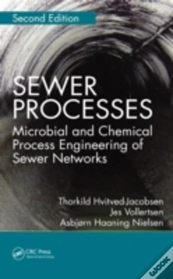 Capa do artigo Sewer Processes