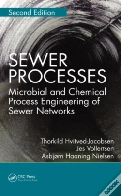 Capa do artigo Sewer Processes