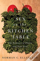 Sex On The Kitchen Table