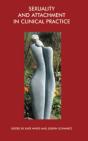 Sexuality And Attachment In Clinical Practice - Preview