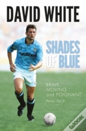 Capa do artigo Shades Of Blue