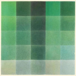 Capa do artigo Shades of Green - Vinil