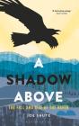 Shadow Above - Preview