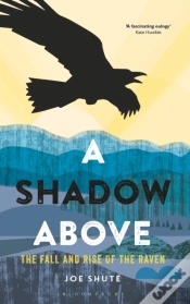 Capa do artigo Shadow Above