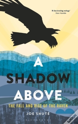 Capa do artigo Shadow Above