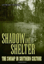 Shadow And Shelter - Preview