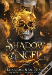 Capa do artigo Shadow Angel