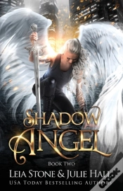 Capa do artigo Shadow Angel