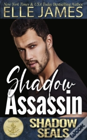 Capa do artigo Shadow Assassin: Shadow Seals