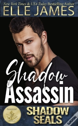 Capa do artigo Shadow Assassin: Shadow Seals