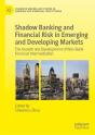 Shadow Banking And Financial Risk In Emerging And Developing Markets - Preview