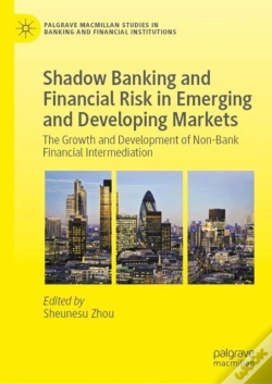 Capa do artigo Shadow Banking And Financial Risk In Emerging And Developing Markets