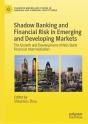 Shadow Banking And Financial Risk In Emerging And Developing Markets - Preview