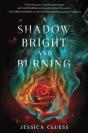 Shadow Bright And Burning (Kingdom On Fire, Book One) - Preview