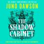 Shadow Cabinet - Preview