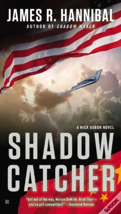 Capa do artigo Shadow Catcher
