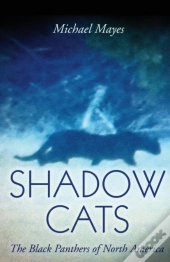 Shadow Cats