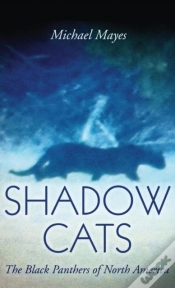 Capa do artigo Shadow Cats