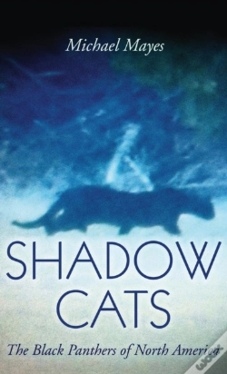 Capa do artigo Shadow Cats